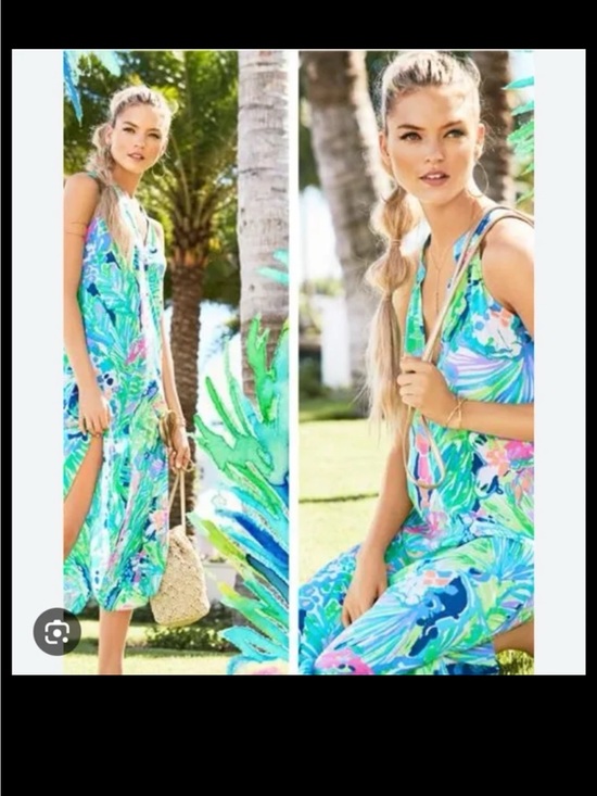 Lilly Pulitzer Dresses & Skirts - Lilly Pulitzer Bailey Floral Maxi Dress 100% Silk
size Small